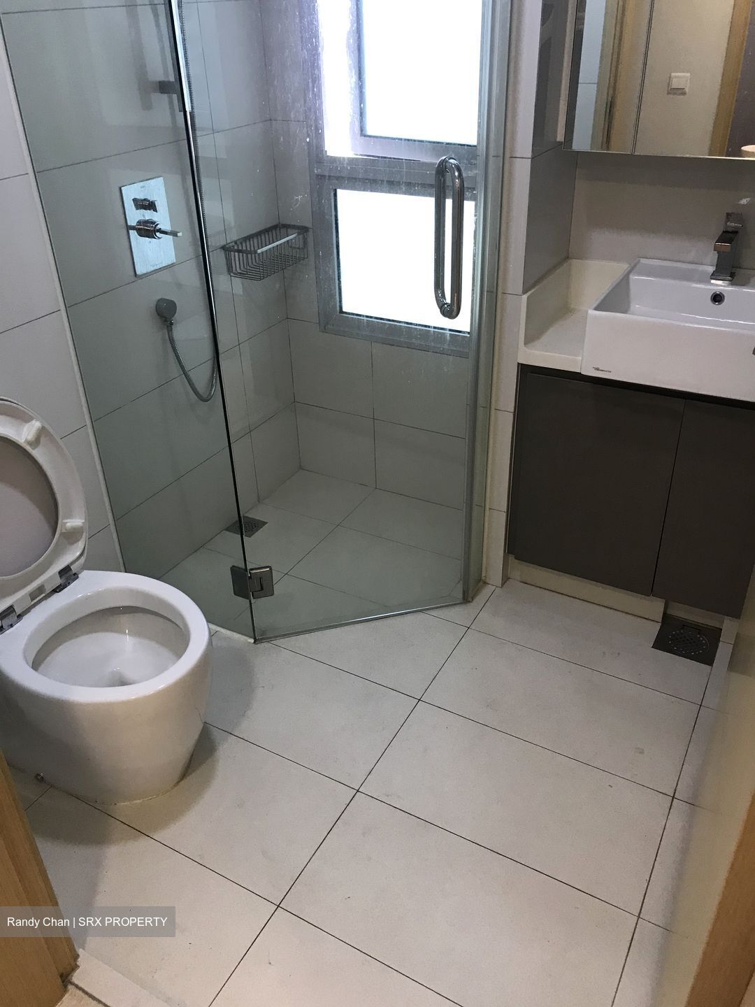 Eight Riversuites (D12), Condominium #437853501